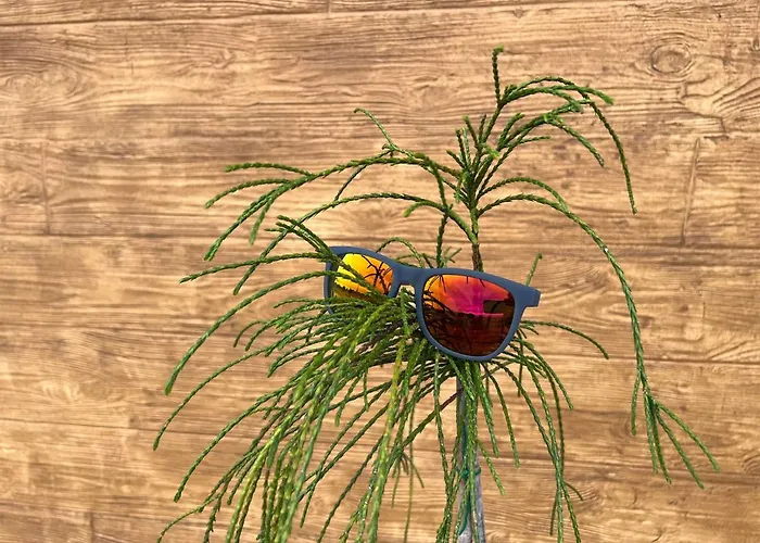 Jasminowa Park Zator